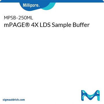 mPAGE&#174; 4X LDS样品缓冲液