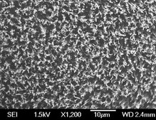 Carbon nanotube array, multi-walled vertically aligned on silicon wafer substrate