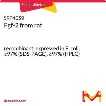 Fgf-2 from rat recombinant, expressed in E. coli, &#8805;97% (SDS-PAGE), &#8805;97% (HPLC)