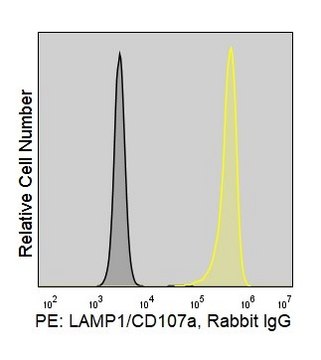 Anti-Human LAMP-1/CD107a (2E9) ColorWheel&#174; Dye-Ready mAb