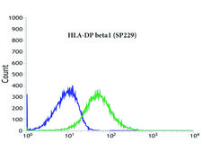 Anti-HLA-DP beta 1 antibody, Rabbit monoclonal recombinant, expressed in proprietary host, clone SP229, affinity isolated antibody
