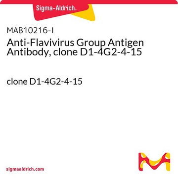 Anti-Flavivirus Group Antigen Antibody, clone D1-4G2-4-15 clone D1-4G2-4-15