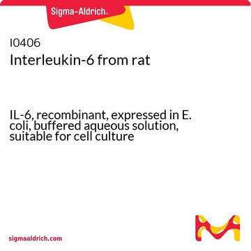 Interleukin-6 from rat IL-6, recombinant, expressed in E. coli, buffered aqueous solution, suitable for cell culture