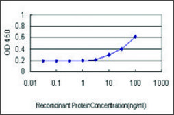 Monoclonal Anti-CX3CR1 antibody produced in mouse clone 2B11, purified immunoglobulin, buffered aqueous solution