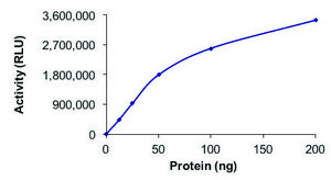 PIP4K2B, Active PRECISIO® Kinase, recombinant