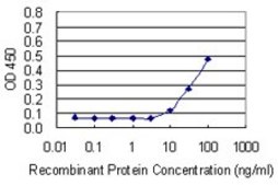 Monoclonal Anti-THY1 antibody produced in mouse clone 3F9, purified immunoglobulin, buffered aqueous solution