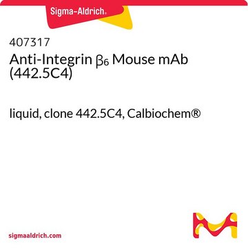 抗整合素&#946;&#8326; 小鼠单克隆抗体（442.5C4） liquid, clone 442.5C4, Calbiochem&#174;