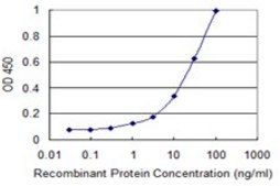 Monoclonal Anti-L1CAM antibody produced in mouse clone 3B10, purified immunoglobulin, buffered aqueous solution