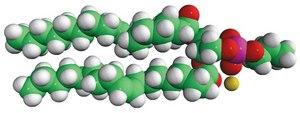 18:1 Phosphatidylpropanol 1,2-dioleoyl-sn-glycero-3-phosphopropanol (sodium salt), chloroform