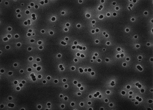 Isopore滤膜 Isopore&#8482;, filter diam. 13&#160;mm, hydrophilic