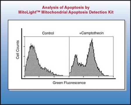 MitoLight Mitochondrial Apoptosis Detection Kit The MitoLight Apoptosis Detection Kit for flow cytometry utilizes a lipophilic cation, termed as MitoLight, as a mitochondrial activity marker.