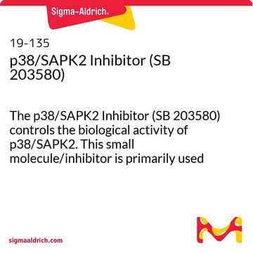 p38/SAPK2 抑制剂（SB 203580） The p38/SAPK2 Inhibitor (SB 203580) controls the biological activity of p38/SAPK2. This small molecule/inhibitor is primarily used for Biochemicals applications.