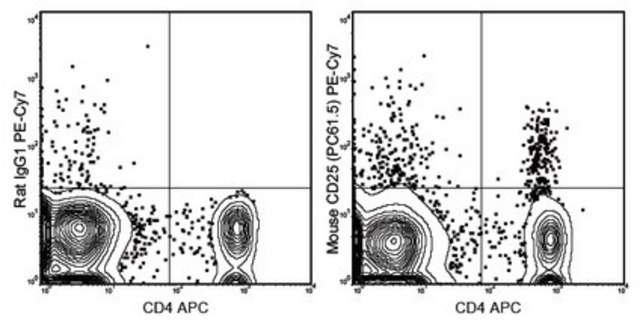 Anti-CD25 Antibody (mouse), PE-Cy7, clone PC61.5 clone PC61.5, 0.2&#160;mg/mL, from rat