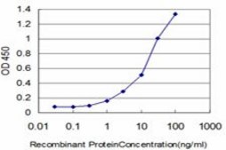 Monoclonal Anti-ELF3, (C-terminal) antibody produced in mouse clone 1D8, purified immunoglobulin, buffered aqueous solution