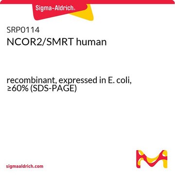 NCOR2/SMRT human recombinant, expressed in E. coli, &#8805;60% (SDS-PAGE)