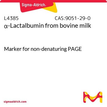 &#945;-Lactalbumin from bovine milk Marker for non-denaturing PAGE