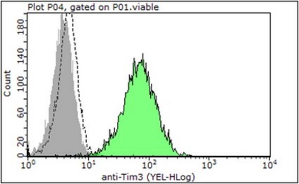 Anti-TIM-3, clone RMT3-23, Azide Free Antibody clone RMT3-23, from rat