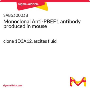 Monoclonal Anti-PBEF1 antibody produced in mouse clone 1D3A12, ascites fluid