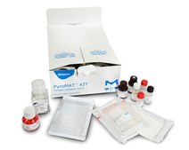 PyroMAT® kit includes Interleukin IL-6 Standard and Interleukin-6ELISA kit, suitable for (suitable for Monocyte Activation Test (MAT)), suitable for pyrogen testing