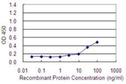 Monoclonal Anti-MAGEA2 antibody produced in mouse clone 1B1, purified immunoglobulin, buffered aqueous solution