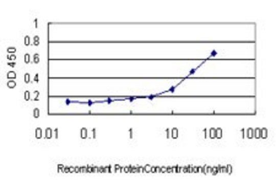 Monoclonal Anti-ARX antibody produced in mouse clone 1G2, purified immunoglobulin, buffered aqueous solution