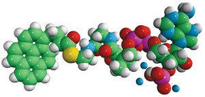04:0 Pyrene Coenzyme A Avanti Research™ - A Croda Brand 810704P, powder