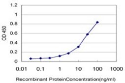 Monoclonal Anti-LASS4 antibody produced in mouse clone 4B10, purified immunoglobulin, buffered aqueous solution