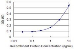 Monoclonal Anti-DHX9, (N-terminal) antibody produced in mouse clone 1D10, purified immunoglobulin, buffered aqueous solution