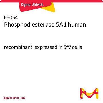 磷酸二酯酶 5A1 人 recombinant, expressed in Sf9 cells