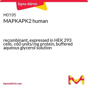 MAPKAPK2 recombinant, expressed in HEK 293 cells, &#8805;60&#160;units/mg protein, buffered aqueous glycerol solution