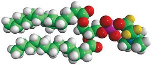 14:0 PC-d4 Avanti Research™ - A Croda Brand 860341P, powder