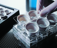 Corning® Netwells® accessories black reagent tray