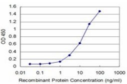 Monoclonal Anti-DUB3 antibody produced in mouse clone 3G12, purified immunoglobulin, buffered aqueous solution