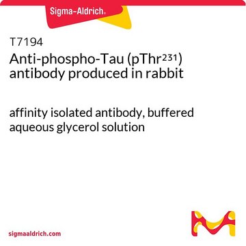 Anti-phospho-Tau (pThr231) antibody produced in rabbit affinity isolated antibody, buffered aqueous glycerol solution