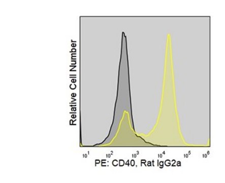 Anti-Mouse CD40 (FGK45) ColorWheel&#174; Dye-Ready mAb