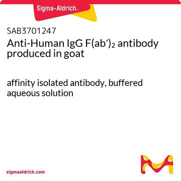 抗 人 IgG F（ab&#8242;)2 山羊抗 affinity isolated antibody, buffered aqueous solution