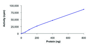 GRK2, active, GST tagged human PRECISIO® Kinase, recombinant, expressed in baculovirus infected Sf9 cells, ≥70% (SDS-PAGE), buffered aqueous glycerol solution