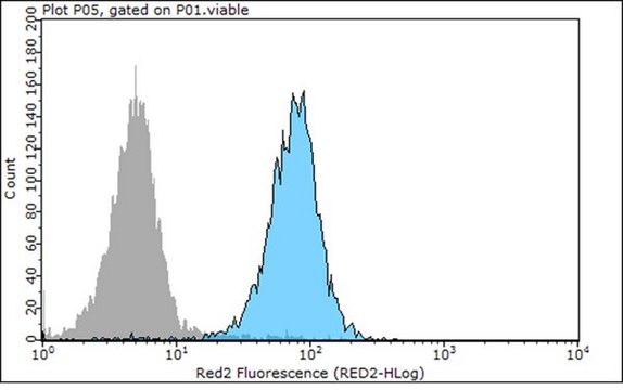 Anti-E-Cadherin Antibody, clone 67A4, Azide &amp; Ascites Free clone 67A4, 0.5&#160;mg/mL, from mouse