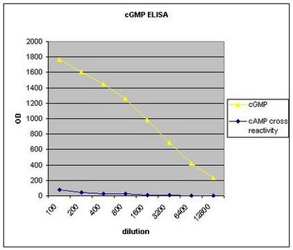 Anti-cGMP (cyclic GMP) Antibody serum, Upstate&#174;