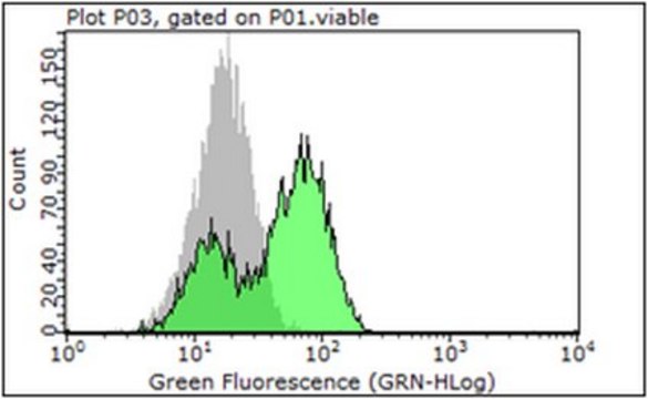 Anti-PSMA Antibody, clone 3/A12 clone 3/A12, from mouse