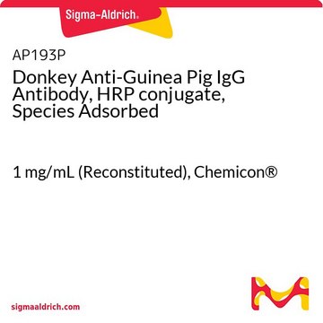 Donkey Anti-Guinea Pig IgG Antibody, HRP conjugate, Species Adsorbed 1&#160;mg/mL (Reconstituted), Chemicon&#174;