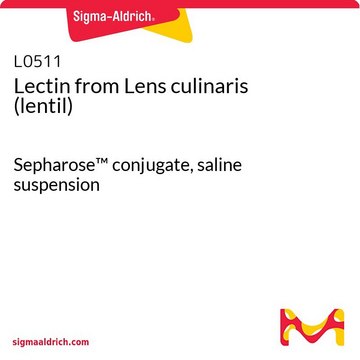 Lectin from Lens culinaris (lentil) Sepharose&#8482; conjugate, saline suspension