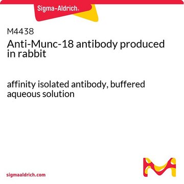 Anti-Munc-18 antibody produced in rabbit affinity isolated antibody, buffered aqueous solution