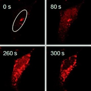 BioTracker 664 NIR Ca2+ Dye Live cell imaging calcium (Ca2+) indicator for neuroscience and cancer applications.