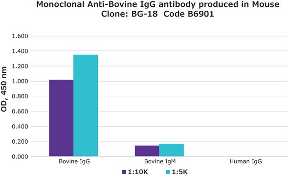 Monoclonal Anti-Bovine IgG antibody produced in mouse clone BG-18, ascites fluid