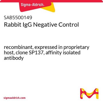 Rabbit IgG Negative Control clone SP137, recombinant, expressed in proprietary host, affinity isolated antibody