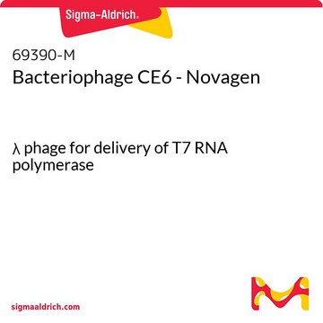 Bacteriophage CE6 - Novagen &#955; phage for delivery of T7 RNA polymerase