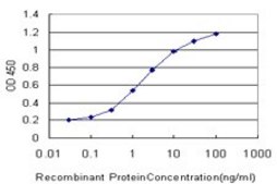 Monoclonal Anti-MTF1 antibody produced in mouse clone 2E5, purified immunoglobulin, buffered aqueous solution