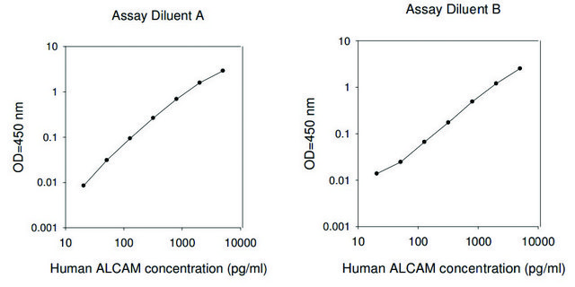 人ALCAM ELISA试剂盒 for serum, plasma, cell culture supernatant and urine