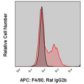 Anti-Mouse F4/80 (BM8.1) ColorWheel® Dye-Ready mAb for use with ColorWheel® Dyes (Required, sold separately)